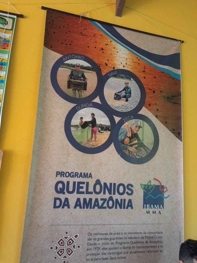 Equipe da SEMMA participa de curso de manejo de Quelônios da Amazônia