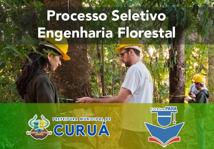 Prosel do Forma Pará oferece 50 vagas para Engenharia Florestal em Curuá