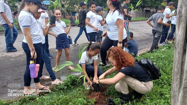 Projeto arboriza Curuá da secretaria municipal de meio ambiente de Curuá
